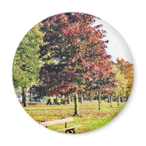 Bench Under The Tree In Park In Autumn magnets by lifesphere Bench Under The Tree In Park In Autumn magnets