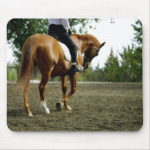 "Bend" Dressage Horse Mousepad mousepads
