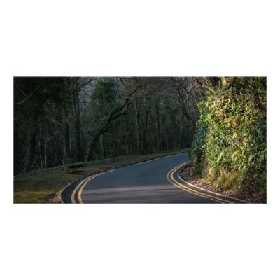 Bend in the Road Card Photo Greeting Card by kmacnaughton