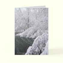 Bending Trees cards by MoiraAshleigh Bending Trees cards
