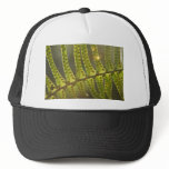 Beneath the Ferns Mesh Hats