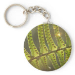 Beneath the Ferns Keychain