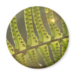 Beneath the Ferns Magnet