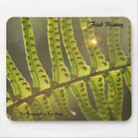 "Beneath the Ferns" Mouse Pads
