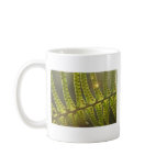 Beneath the Ferns Coffee Mugs