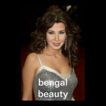 bengal beauty posters
