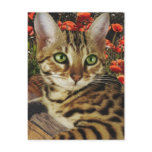 Bengal cards and stickers postcards