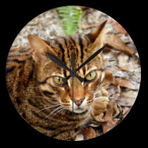 Bengal Cat 001 wall clocks