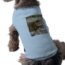 Bengal Cat 002 pet clothing by NatureByDesign Bengal Cat 002 pet clothing