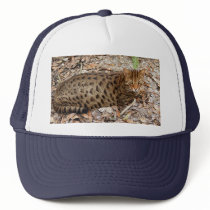 Bengal Cat 002 hats by BCRcats Bengal Cat 002 hats