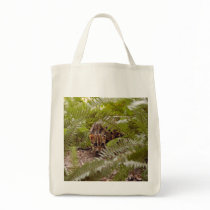 Bengal Cat 003 bags