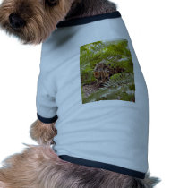 Bengal Cat 003 pet clothing by BCRcats Bengal Cat 003 pet clothing