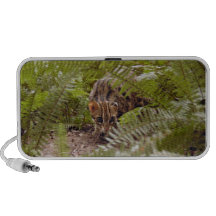 Bengal Cat 003 Mp3 Speakers