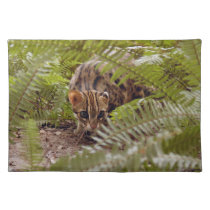 Bengal Cat 003 placemats