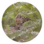 Bengal Cat 003 Party Plates