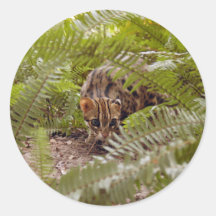 Bengal Cat 003 Stickers