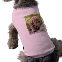 Bengal Cat 004 pet clothing by BCRcats Bengal Cat 004 pet clothing