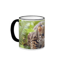Bengal Cat 004 mugs