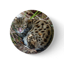 Bengal Cat 005 buttons