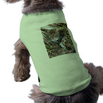 Bengal Cat 005 pet clothing by BCRcats Bengal Cat 005 pet clothing
