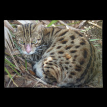 Bengal Cat 005 placemats