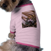 Bengal Cat 006 pet clothing by BCRcats Bengal Cat 006 pet clothing