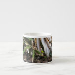 Bengal Cat 006 Espresso Cups