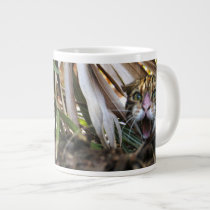 Bengal Cat 006 mugs