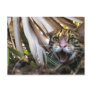 Bengal Cat 006 Post Cards