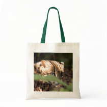 Bengal Cat 008 bags