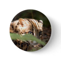 Bengal Cat 008 buttons