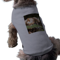 Bengal Cat 008 pet clothing by BCRcats Bengal Cat 008 pet clothing