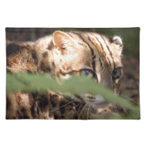 Bengal Cat 008 placemats