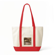 Bengal Cat 013 bags