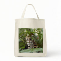 Bengal Cat 022 bags