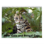 Bengal Cat 022, Bear Cats and Bengal Cats Wall Calendar