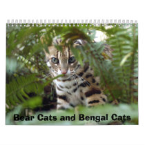Bengal Cat 022, Bear Cats and Bengal Cats Wall Calendar