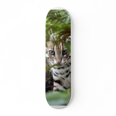 Bengal Cat 022 Skate Board Decks by BCRcats