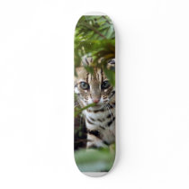 Bengal Cat 022 Skate Board Decks