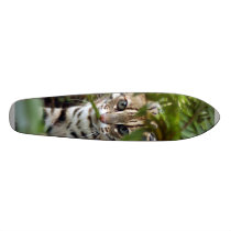 Bengal Cat 022 skateboards