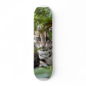 Bengal Cat 022 skateboards