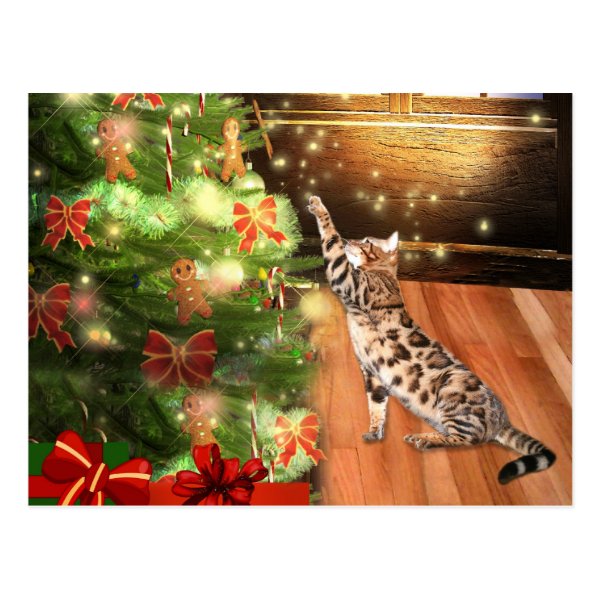 Bengal cat Christmas Post Card