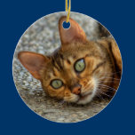 Bengal Cat ornaments
