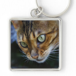 Bengal Cat keychain