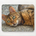 Bengal Cat mousepads by EMangl Bengal Cat mousepads