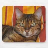 Bengal Cat mousepad