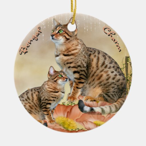 Bengal Cat Ornaments Zazzle