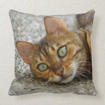 Bengal Cat Pillow