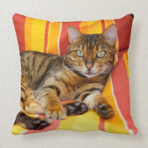 Bengal Cat Throw Pillow
