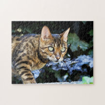 Bengal Cat Puzzle